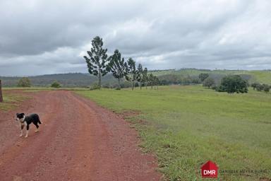 Farm For Sale - QLD - Monto - 4630 - OUTSTANDING GRAZING PROPERTY IN THE VENTNOR SCRUB DISTRICT  (Image 2)