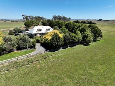 Farm Sold - TAS - Thirlstane - 7307 - UNDER CONTRACT - Tower Hill  (Image 2)