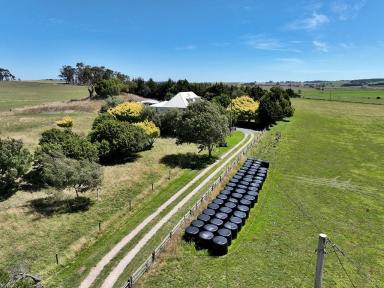Farm Sold - TAS - Thirlstane - 7307 - UNDER CONTRACT - Tower Hill  (Image 2)