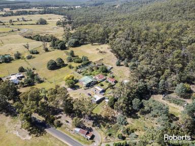 Farm For Sale - TAS - Liffey - 7301 - Welcome to self-sustainable Living!  (Image 2)