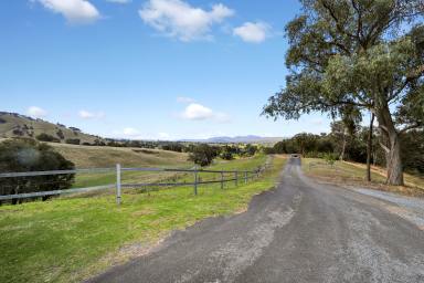 Farm For Sale - NSW - Tumut - 2720 - Piece of Paradise!  (Image 2)