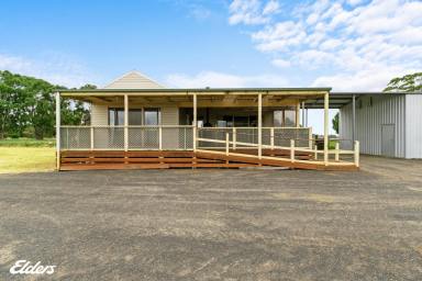 Farm For Sale - VIC - Yarram - 3971 - FARMLET ON TOWN'S EDGE WITH TWO TITLES  (Image 2)