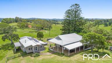 Farm For Sale - NSW - Kyogle - 2474 - House + Studio on 6 Acres  (Image 2)