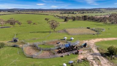 Farm For Sale - NSW - Castle Doyle - 2350 - FOR SALE AS A WHOLE OR SEPARATE ASSETS BY PRIVATE TREATY TO SUIT EVERY BUDGET  (Image 2)