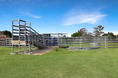 Farm For Sale - NSW - Castle Doyle - 2350 - Equine lifestyle and cattle production within close proximity to Armidale  (Image 2)