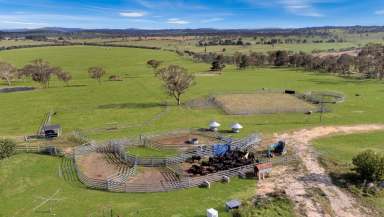 Farm For Sale - NSW - Castle Doyle - 2350 - Equine lifestyle and cattle production within close proximity to Armidale  (Image 2)