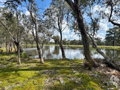 Farm Sold - NSW - Cuttabri - 2388 - LAND OPPORTUNITY IN QUIET LOCATION SPANNING 1,037 ACRES  (Image 2)