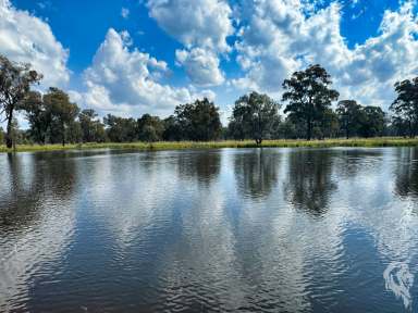 Farm Sold - NSW - Cuttabri - 2388 - LAND OPPORTUNITY IN QUIET LOCATION SPANNING 1,037 ACRES  (Image 2)