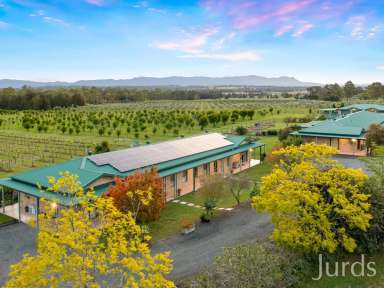 Farm For Sale - NSW - Lovedale - 2325 - TALGA ESTATE – HUNTER VALLEY ACCOMMODATION BUSINESS  (Image 2)