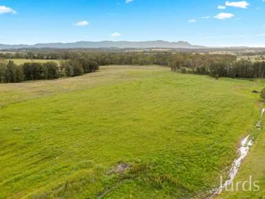 Farm For Sale - NSW - Lovedale - 2325 - TALGA ESTATE – HUNTER VALLEY ACCOMMODATION BUSINESS  (Image 2)