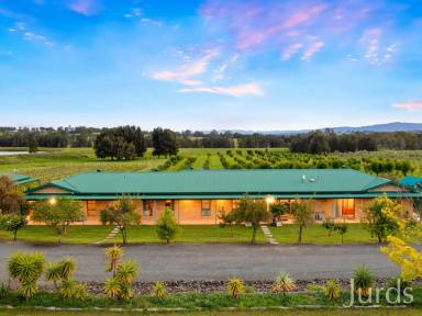 Farm For Sale - NSW - Lovedale - 2325 - TALGA ESTATE – HUNTER VALLEY ACCOMMODATION BUSINESS  (Image 2)