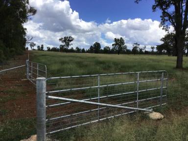 Farm For Sale - NSW - Inverell - 2360 - MOROCCO, 165 Acres Lifestyle Property with 5-Bedroom12km from Growing Town of Inverell - Perfect for Livestock or Family Retreat!  (Image 2)