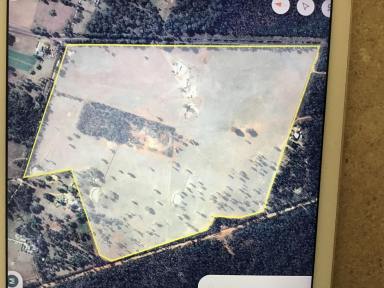 Farm For Sale - NSW - Inverell - 2360 - MOROCCO, 165 Acres Lifestyle Property with 5-Bedroom12km from Growing Town of Inverell - Perfect for Livestock or Family Retreat!  (Image 2)