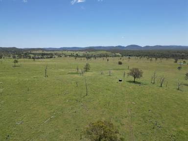 Farm For Sale - QLD - Kilkivan - 4600 - Prime Grazing Country Only Minutes From Kilkivan  (Image 2)