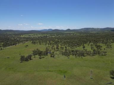 Farm For Sale - QLD - Kilkivan - 4600 - Prime Grazing Country Only Minutes From Kilkivan  (Image 2)