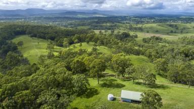 Farm For Sale - QLD - Mundoolun - 4285 - Centrally located, very private 281 acres  (Image 2)