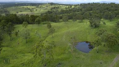 Farm For Sale - QLD - Mundoolun - 4285 - Centrally located, very private 281 acres  (Image 2)
