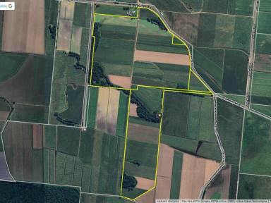 Farm For Sale - QLD - Rockingham - 4854 - APPROX. 200 ACRE CANE FARM FOR SALE  (Image 2)