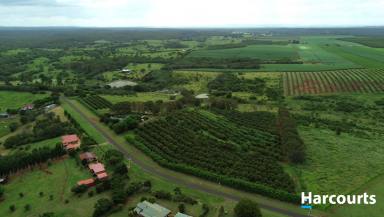 Farm For Sale - QLD - North Isis - 4660 - All About the Lifestyle!!  (Image 2)