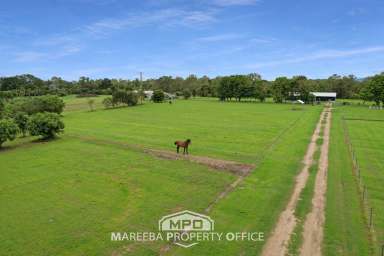 Farm Sold - QLD - Mareeba - 4880 - NEAR NEW ACREAGE GEM, CLOSE TO TOWN!  (Image 2)