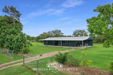 Farm Sold - QLD - Mareeba - 4880 - NEAR NEW ACREAGE GEM, CLOSE TO TOWN!  (Image 2)