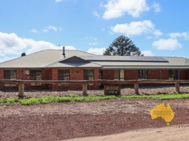 Farm For Sale - QLD - Kingaroy - 4610 - "Booie View" - Available for sale as a whole or the two lots separately!  (Image 2)