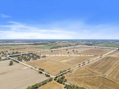 Farm For Sale - VIC - Naring - 3636 - Prime Naring Cropping/Grazing Property - 298.95 Ha (738 Acres)  (Image 2)
