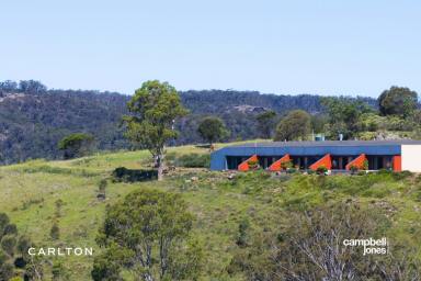 Farm For Sale - NSW - Bullio - 2575 - Far Horizons Retreat  (Image 2)