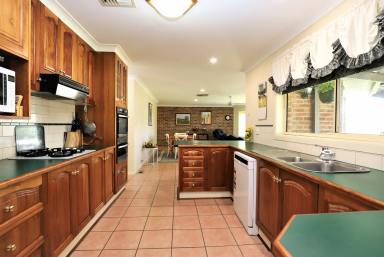 Farm For Sale - NSW - Cootamundra - 2590 - Very Impressive Home On Large Block  (Image 2)