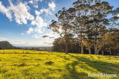 Farm For Sale - WA - Shadforth - 6333 - Great Southern Land  (Image 2)