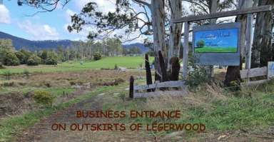 Farm For Sale - TAS - Legerwood - 7263 - 32 Acres with near new 5brm house and business opportunity  (Image 2)