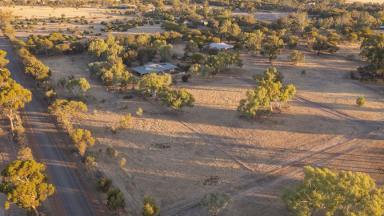 Farm For Sale - WA - Popanyinning - 6309 - Fantastic Country Home for the Family  (Image 2)