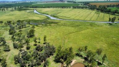 Farm For Sale - QLD - Wooroonden - 4605 - CATTLE OR CULTIVATE  (Image 2)
