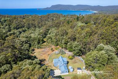 Farm Sold - TAS - Adventure Bay - 7150 - Private, Luxurious & Close to the Beach…The Perfect Dream!  (Image 2)