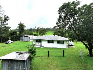 Farm For Sale - NSW - Kyogle - 2474 - BABYL CREEK BEEF - 756 ACRES  (Image 2)