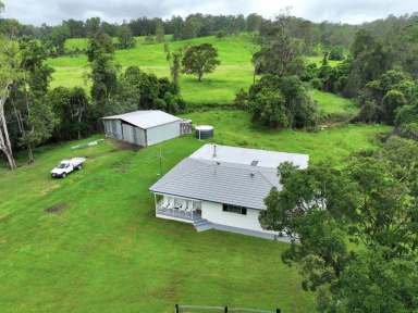 Farm For Sale - NSW - Kyogle - 2474 - BABYL CREEK BEEF - 756 ACRES  (Image 2)