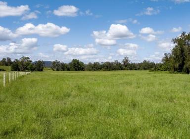 Farm For Sale - NSW - Kyogle - 2474 - BABYL CREEK BEEF - 756 ACRES  (Image 2)