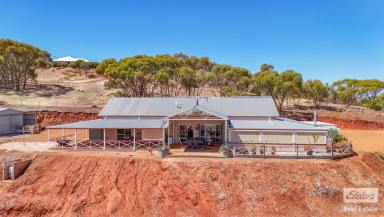 Farm For Sale - WA - Coondle - 6566 - Tranquil Living with Breathtaking Views on 2.01ha  (Image 2)
