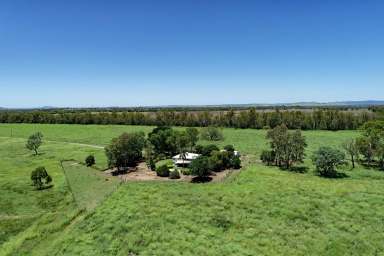 Farm Sold - QLD - Dakenba - 4715 - Highly Productive Callide Valley Property  (Image 2)