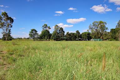 Farm Sold - QLD - Dakenba - 4715 - Relaxing Country Lifestyle Minutes* from Town  (Image 2)