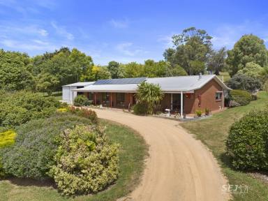 Farm For Sale - VIC - Dumbalk North - 3956 - Peaceful Country Living  (Image 2)