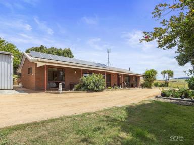 Farm For Sale - VIC - Dumbalk North - 3956 - Peaceful Country Living  (Image 2)