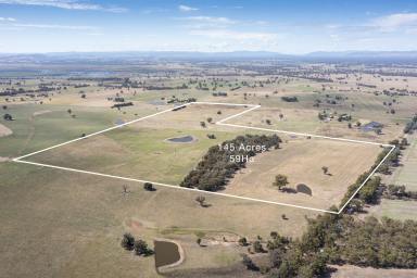 Farm For Sale - VIC - Goorambat - 3725 - Highly sought after cropping land in tightly held Goorambat District  (Image 2)