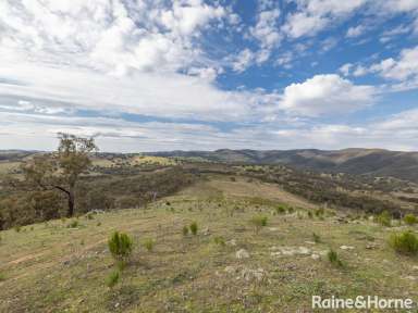 Farm Sold - NSW - Limekilns - 2795 - YOUR 600-ACRE OASIS AWAITS.  (Image 2)