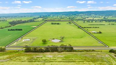 Farm For Sale - VIC - Toongabbie - 3856 - 103 Acre Farm with Modern Home | Tranquil Living in Toongabbie, VIC  (Image 2)