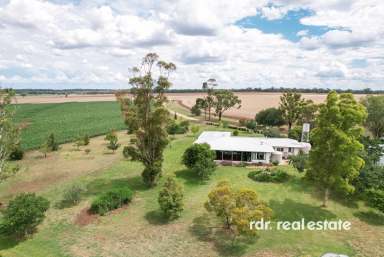 Farm For Sale - NSW - Delungra - 2403 - "BELLA" - THE BEST OF COUNTRY LIVING  (Image 2)