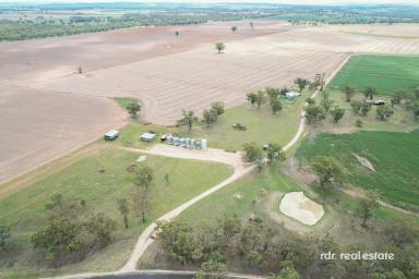 Farm For Sale - NSW - Delungra - 2403 - "BELLA" - THE BEST OF COUNTRY LIVING  (Image 2)