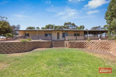Farm For Sale - SA - Kangaroo Flat - 5118 - UNDER CONTRACT BY CHIRSTOPHER HURST  (Image 2)