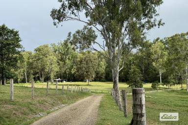 Farm For Sale - QLD - Curra - 4570 - MOTIVATED SELLER READY FOR A QUICK MOVE!  (Image 2)