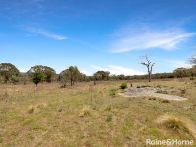 Farm For Sale - NSW - Rock Forest - 2795 - BREATHTAKING BUSH BLOCK - 107 ACRES.  (Image 2)